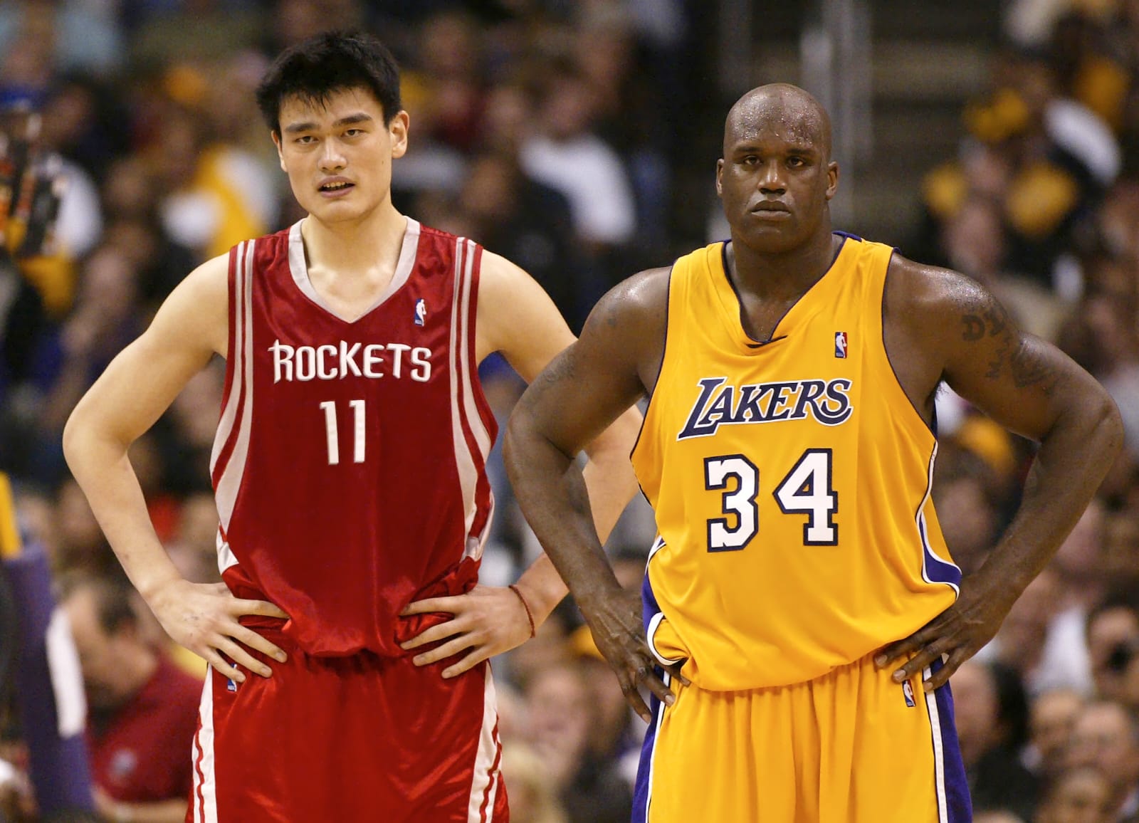Qui nes Son Los 10 Jugadores M s Altos En La Historia Del Basquetbol qui-nes-son-los-10-jugadores-m-s-altos-en-la-historia-del-basquetbol